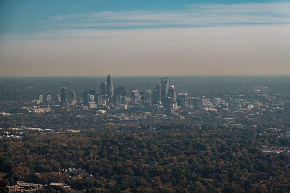 A distant skyline rising above a wide spread of treetops in haze