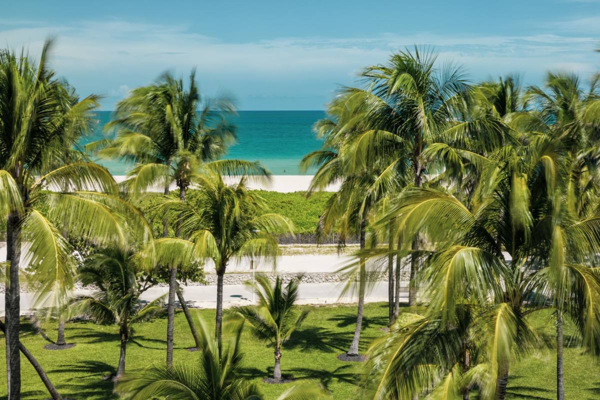 Palm trees leaning over a green lawn, turquoise ocean behind them
