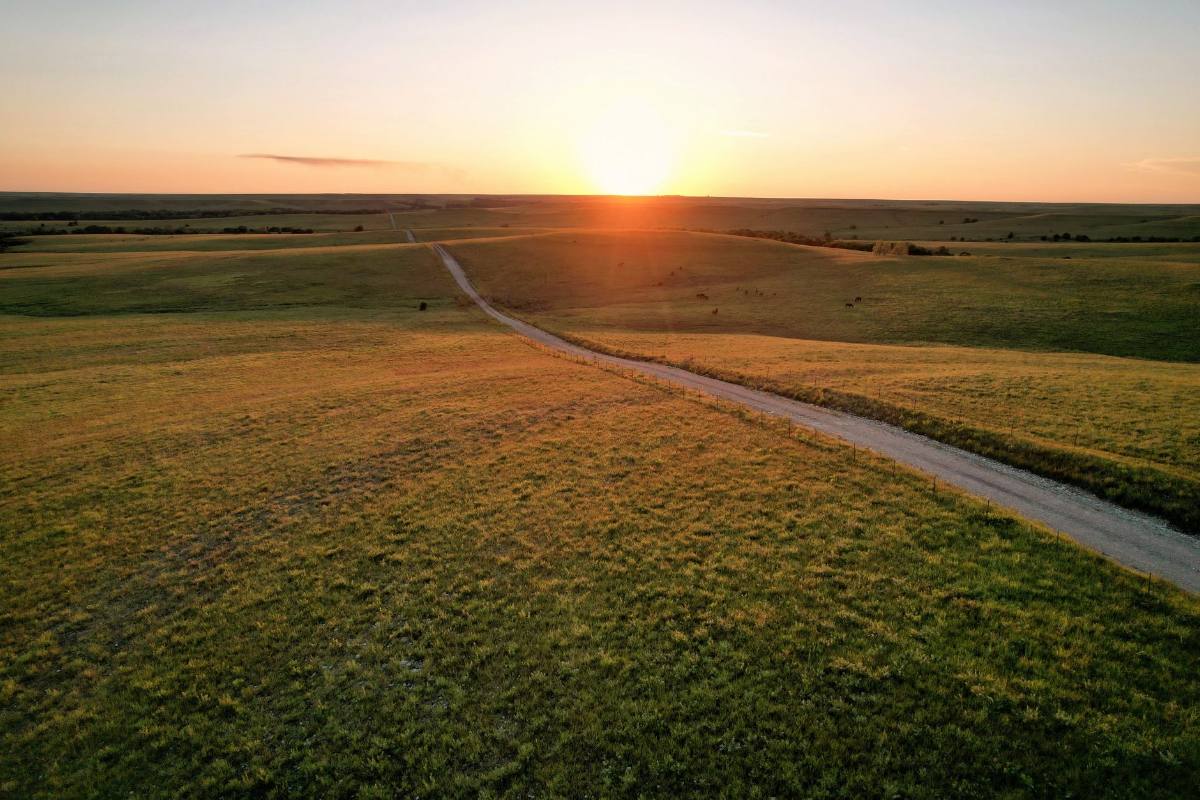 A gravel road through a green prairie toward a low sun on the horizon