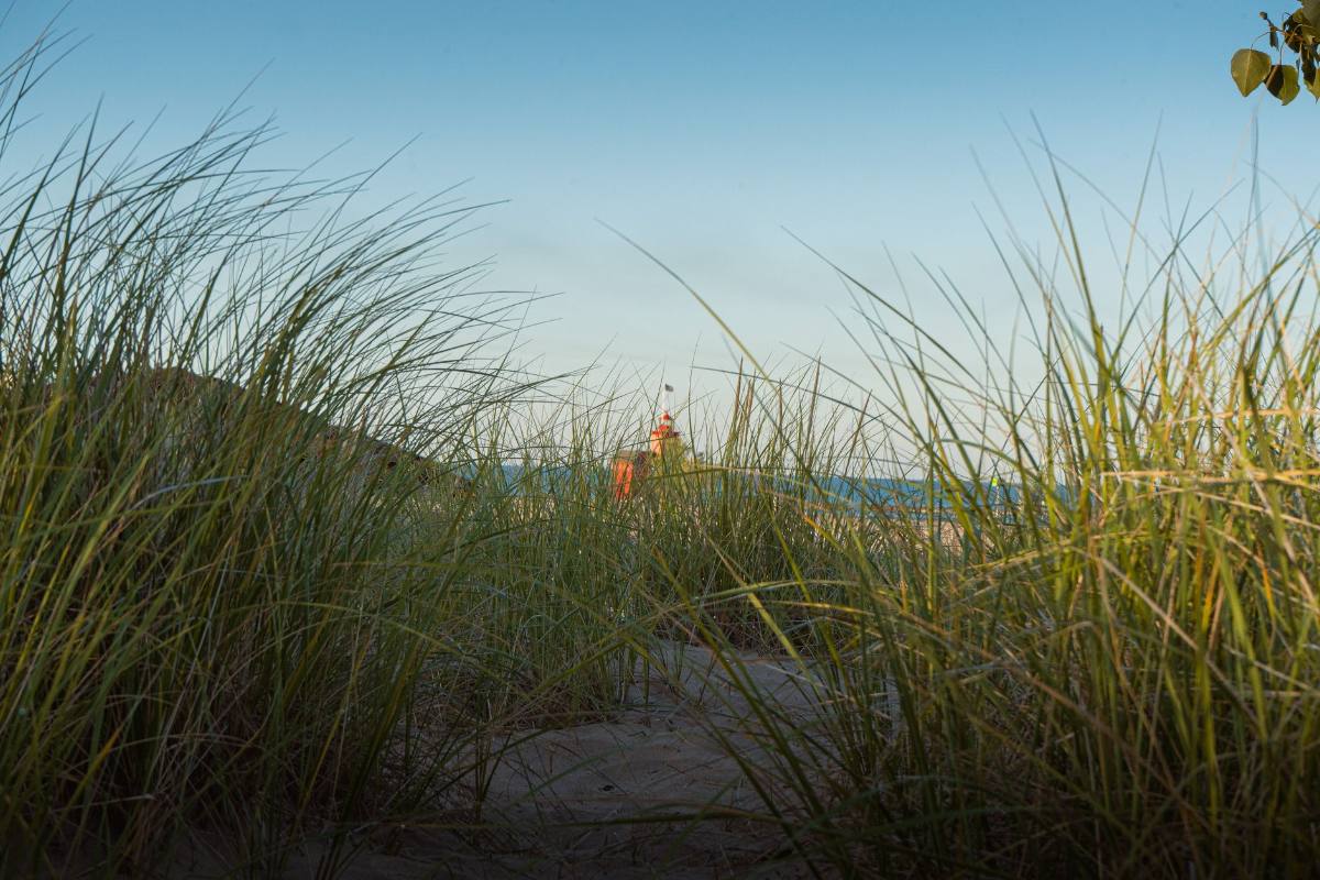 Tall dune grass in the foreground, a lake beach and blue sky beyond